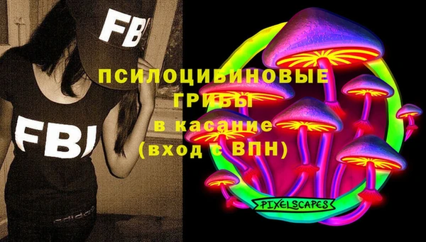 ГАЛЛЮЦИНОГЕННЫЕ ГРИБЫ Балахна
