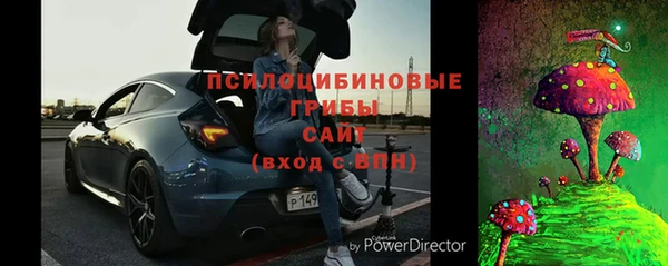 ГАЛЛЮЦИНОГЕННЫЕ ГРИБЫ Балахна